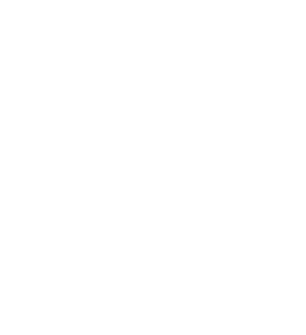 Midex Logo 2024 - Iran Visa